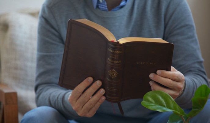 Reading more of the Bible